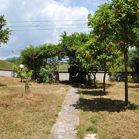 Villa Ambra Tra Mare E Natura *
